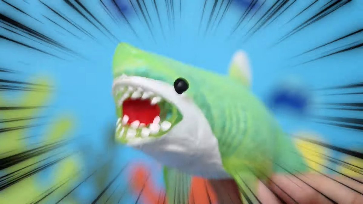 📣サメが来たぞ～～🦈‼ 大人気の伸び～るおもちゃ『&co.』から、最新作