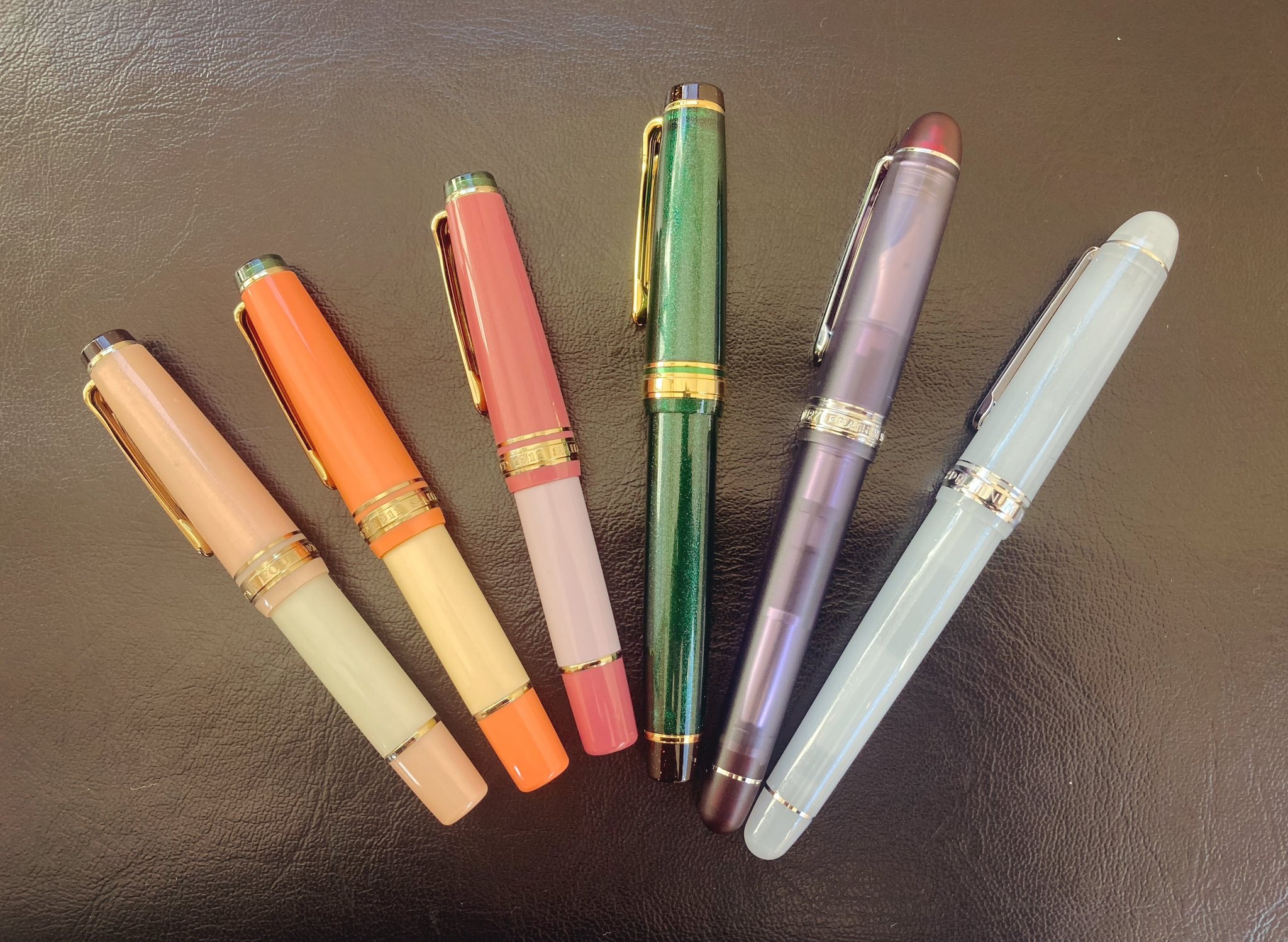 オリジナル万年筆駿河湾春 century2025 字幅F オリジナル万年筆駿河湾