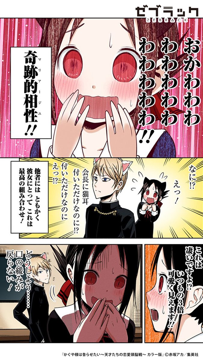 奇跡的相性 かぐや SP Amazon.co.jp: 奇跡的相性 かぐや マリアージュ