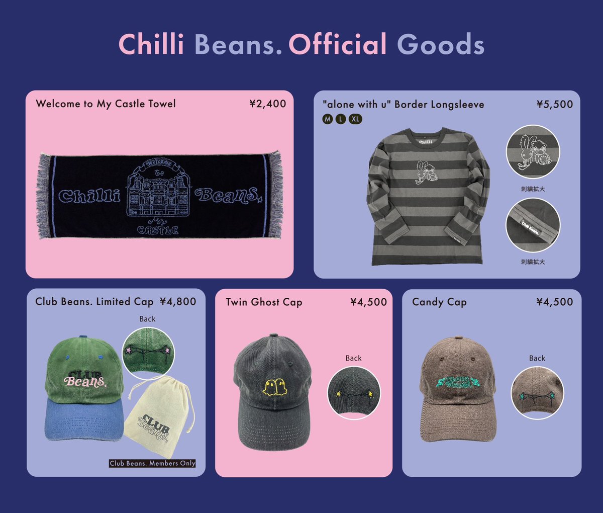 Welcome to My Castle