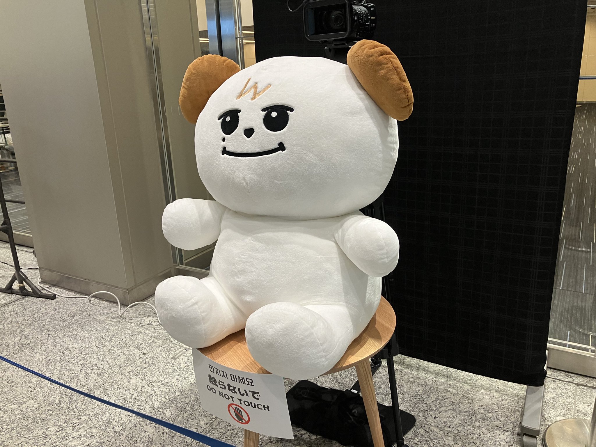 キュヒョン マスコットキーリング ギュメ お 得 な 通販 サイト