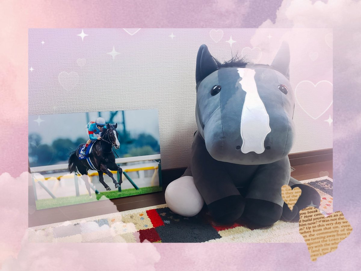 Welcomeチャンス 競馬 特賞 直筆サイン イクイノックス アイドルホース