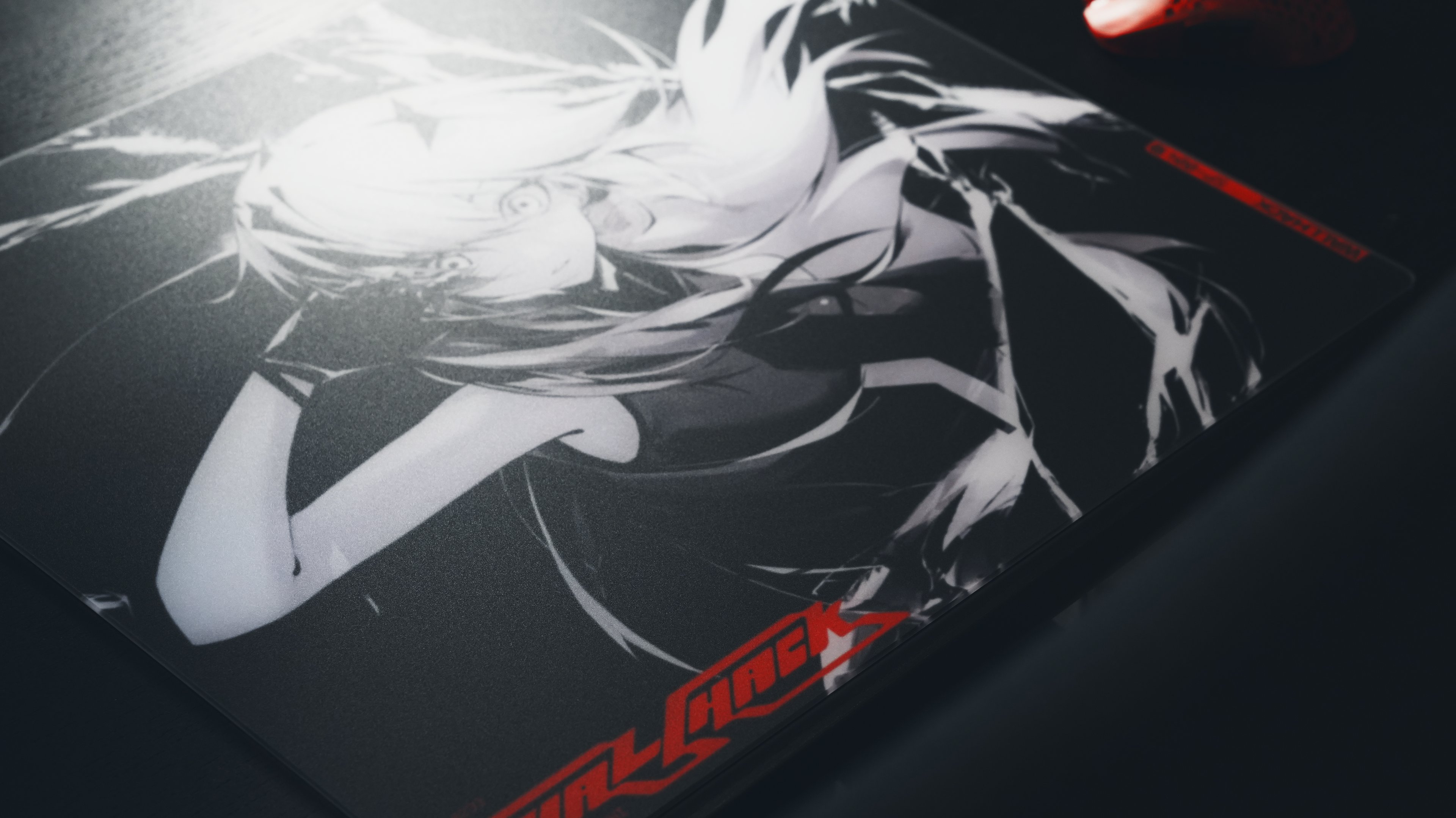 期間限定 Wallhack SP-004 Frenzy Sora