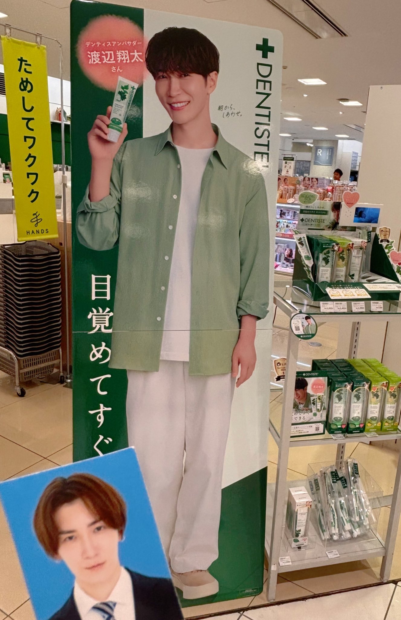 渡辺翔太 デンティス歯ブラシスタンド デンティス 歯ブラシスタンド