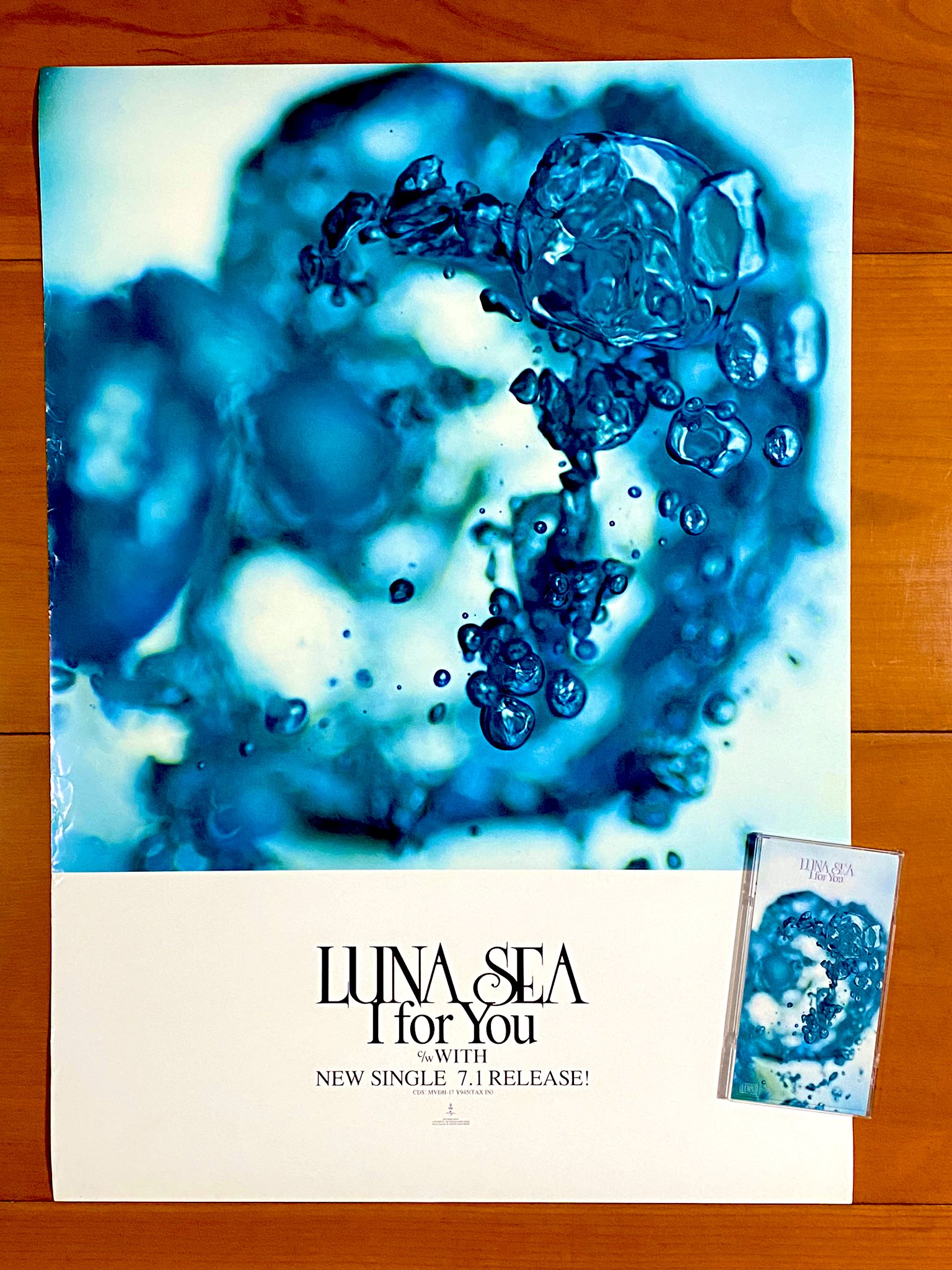 早いもん勝ち #LUNASEA の名作のポスターです Amazon.co.jp: 早いもん