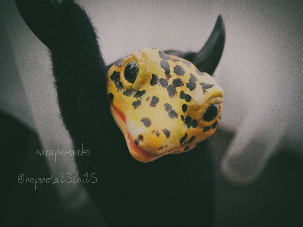 ハラペコ (@hoppeta25chi25) / Posts / X