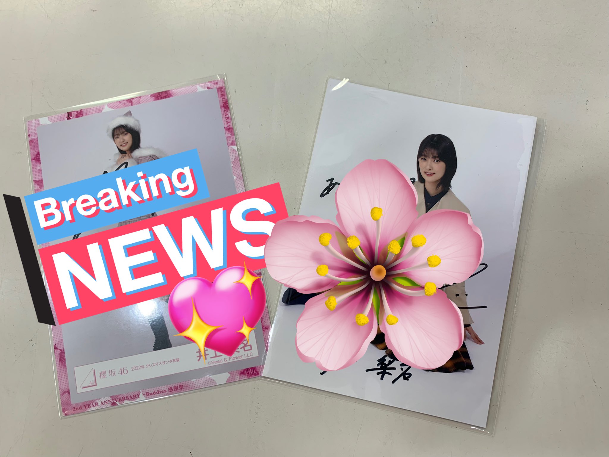 山﨑天 櫻坂46 2024 クリスマスサンタ 生写真 直筆サイン 座り 【公式