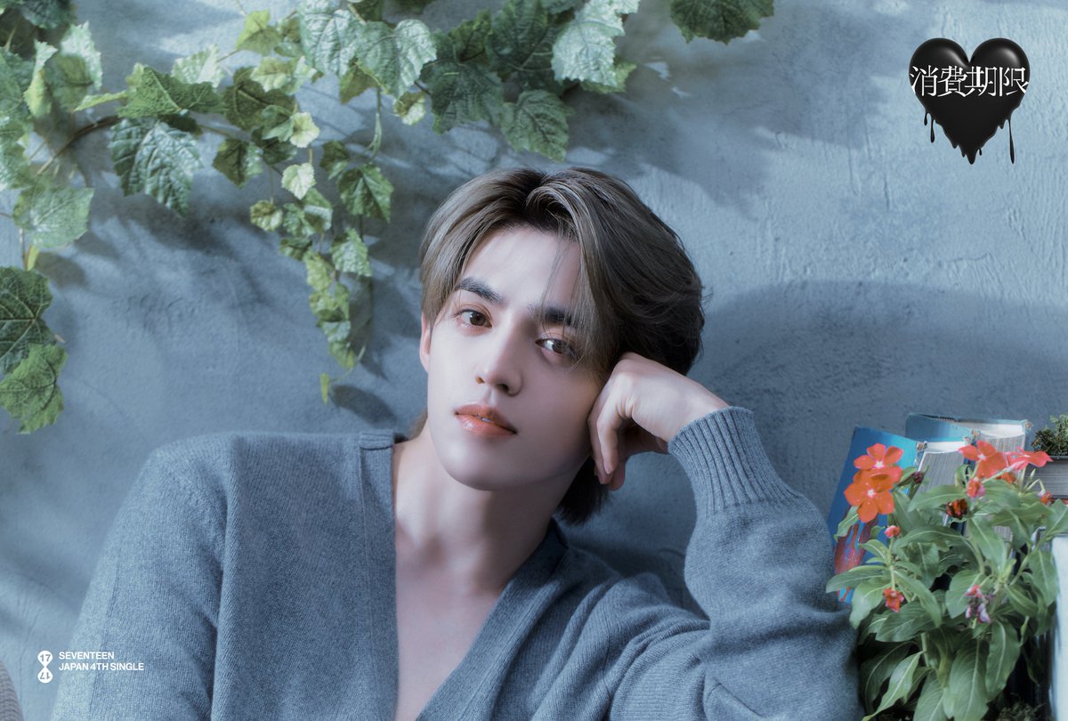 SEVENTEEN 消費期限 the8 サイン入り生写真 直筆サイン SEVENTEEN 消費