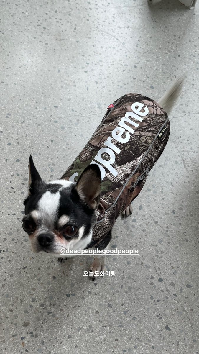 Supreme x GORE-TEX Dog Jacket
