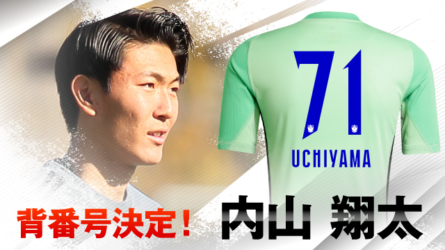 aji】アルビレックス新潟 ユニフォーム(背番号プリント無し) aji