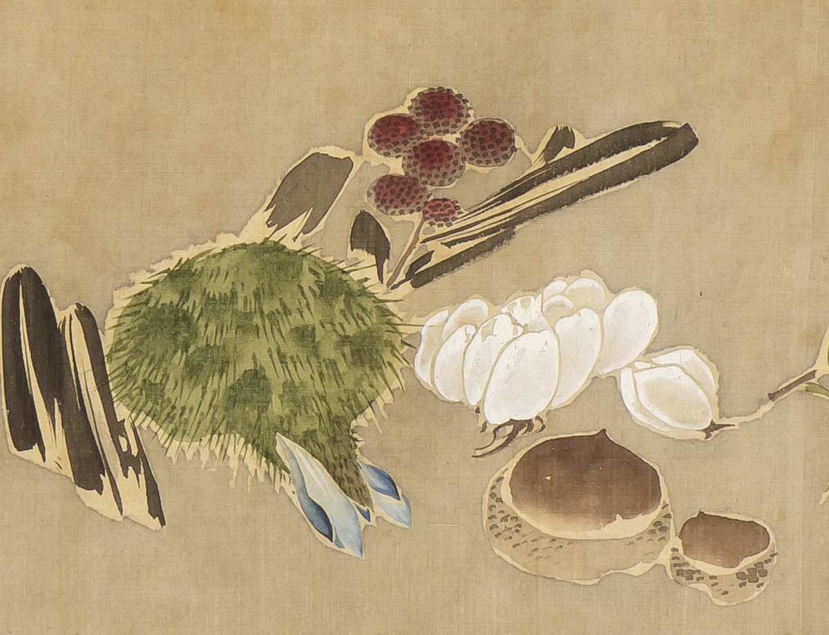 果蔬図巻》の中で特定できなかったこちらの植物ですが、多くの方から