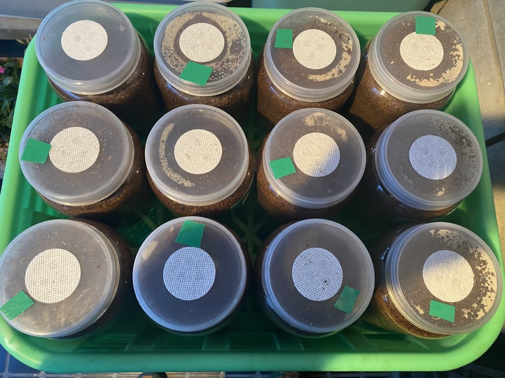 まっちゃん (@mentai1969saga) / Posts / X