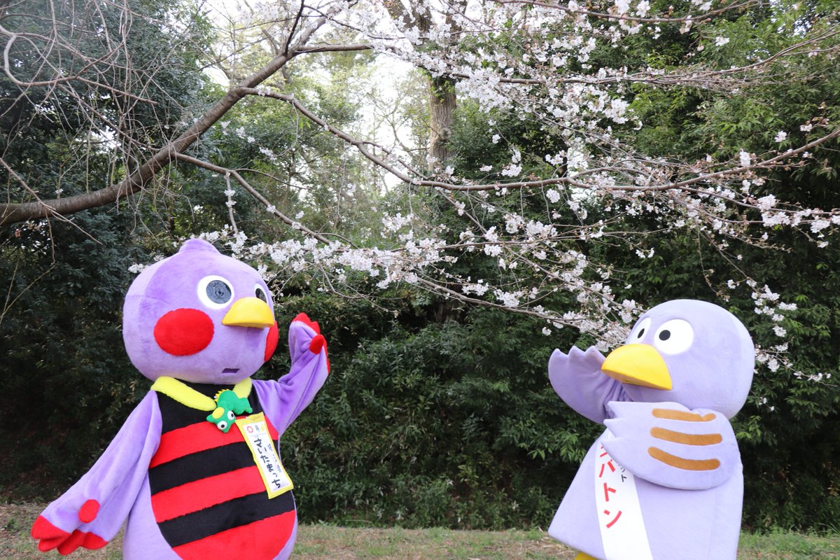 ⭕️赤間硯 特殊 小町研 下井唯石 日本工芸会正会員 伝統工芸士 手間