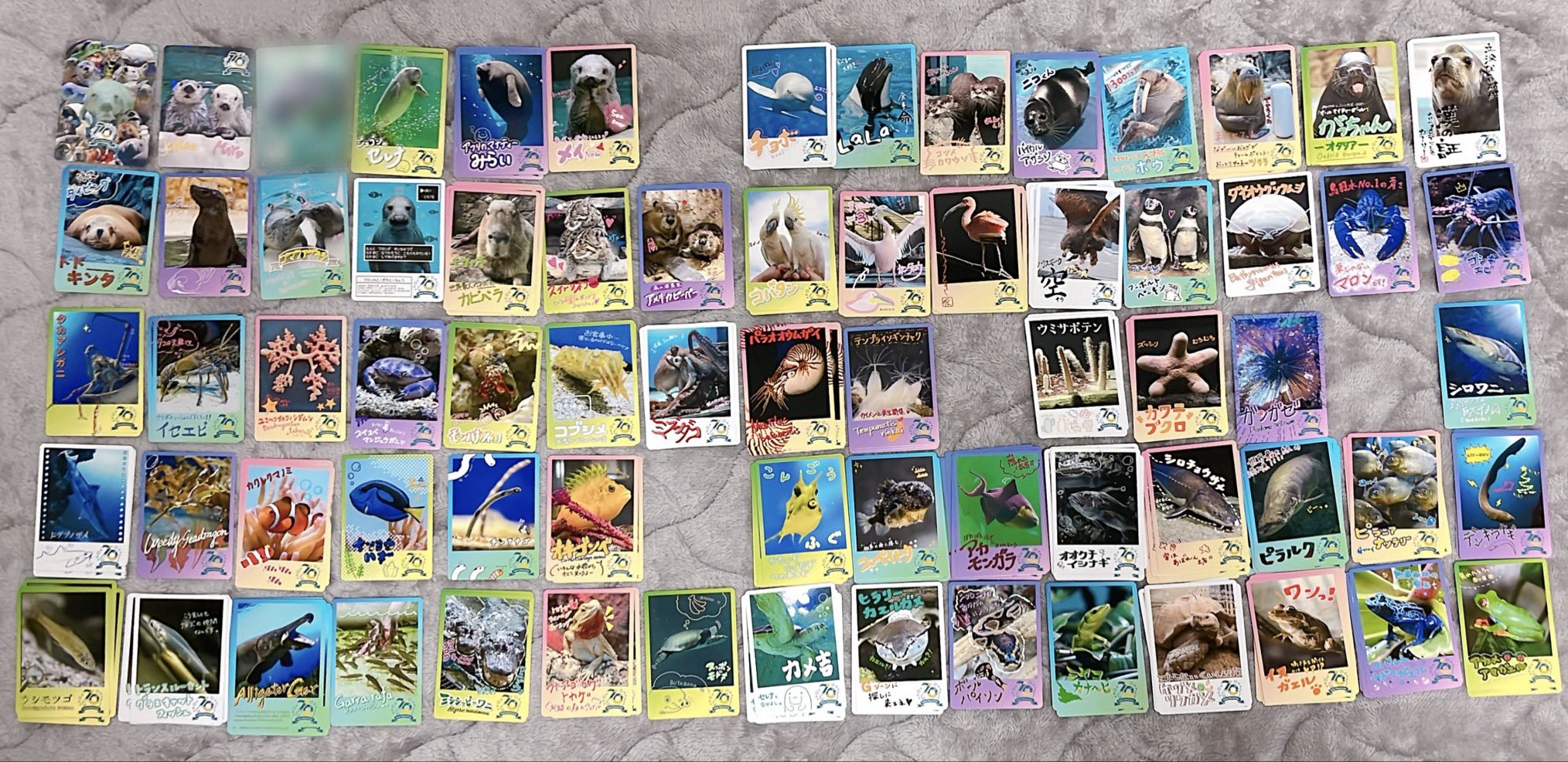 鳥羽水族館 70周年記念TOBA AQUARIUMコレクションカード 50パック TOBA