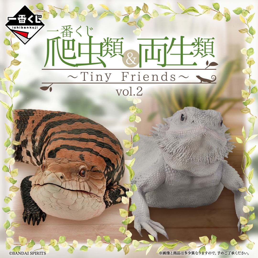 一番くじ】爬虫類&両生類 A賞 B賞 C賞（下位賞のおまけ付き） 一番くじ