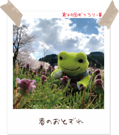 かえるのピクルス/pickles the frog (@picklesthefrog6) / Posts / X