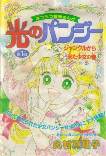 小説 光のパンジー』 原作：奥村真理子 作：奥村真理子＆ひろっぴ