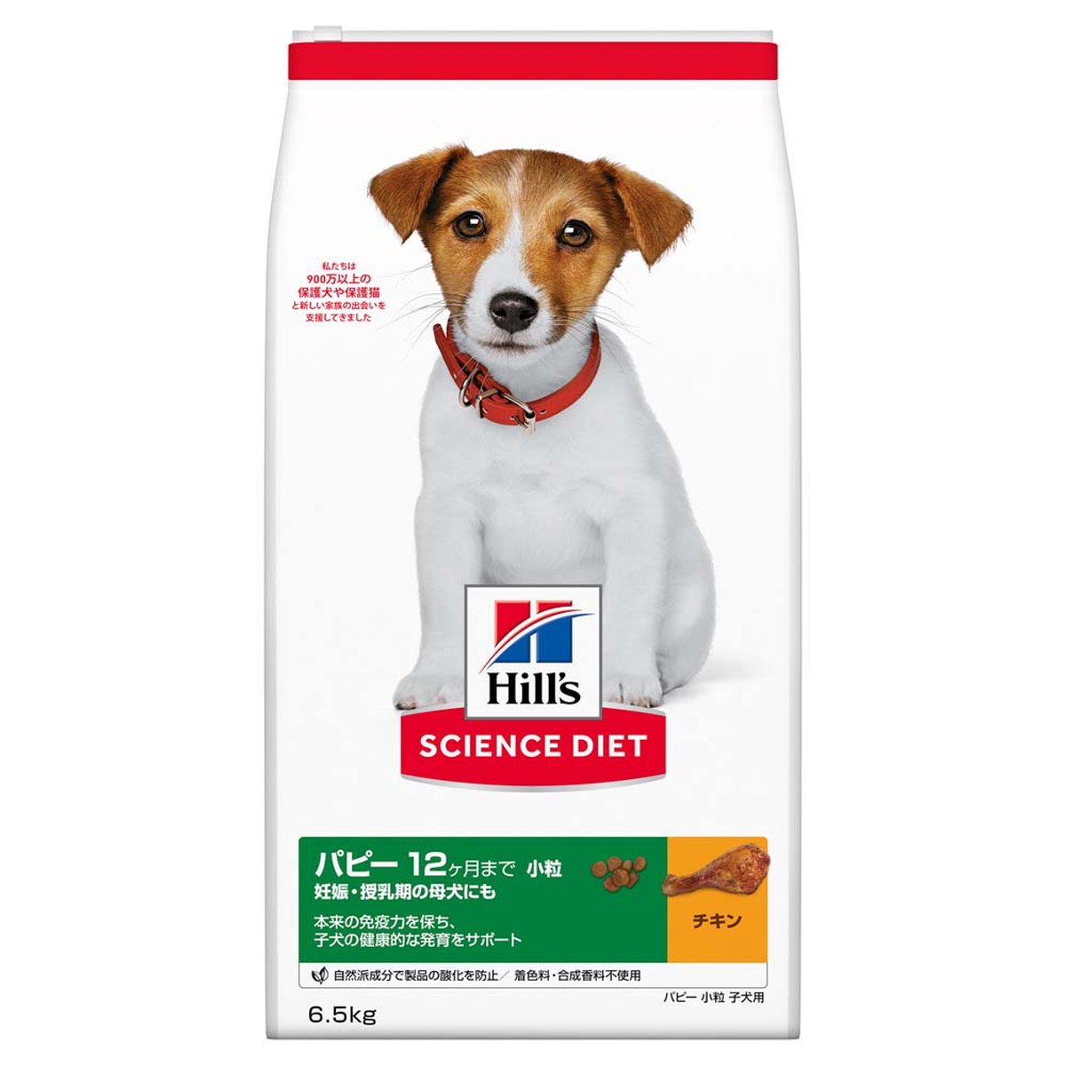 AZアゼットプロフェッショナル アダルト並粒10kg 成犬用 ブリーダー