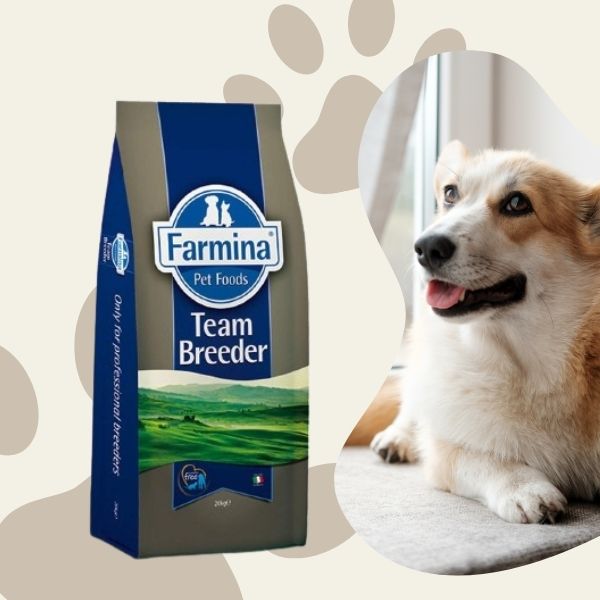 Farmina Team Breeder Top Farmina Dry Dog Food - Pets For All