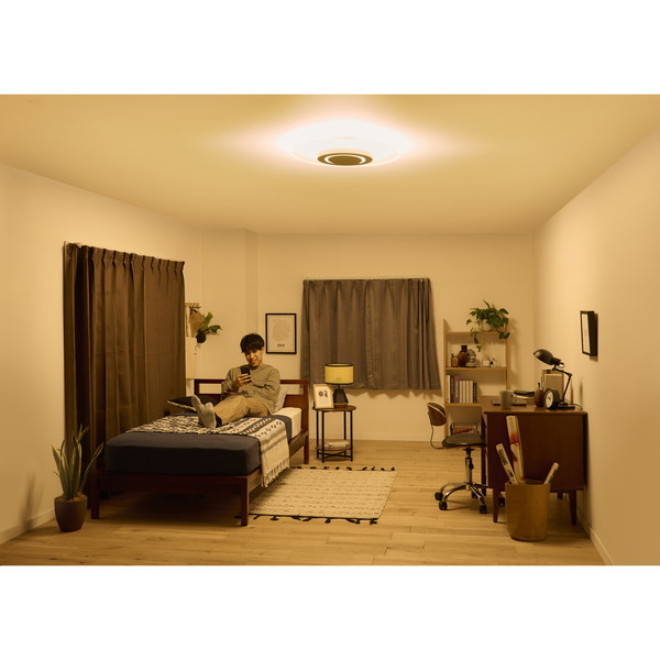 アイリスオーヤマ CEA-A12DLP [LEDシーリングライト パネルライト 12畳