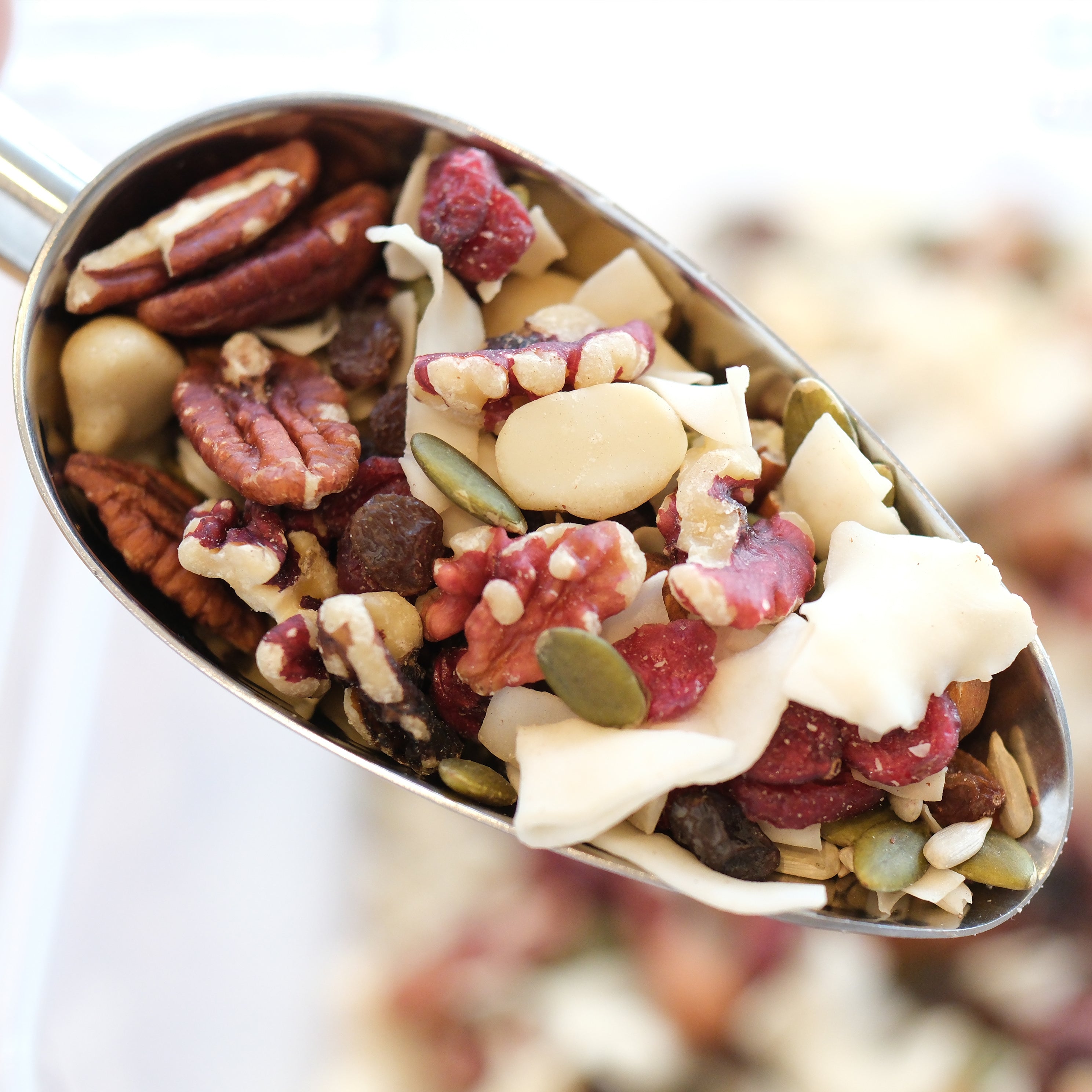 square.jpg?v=1716973570&width=1920