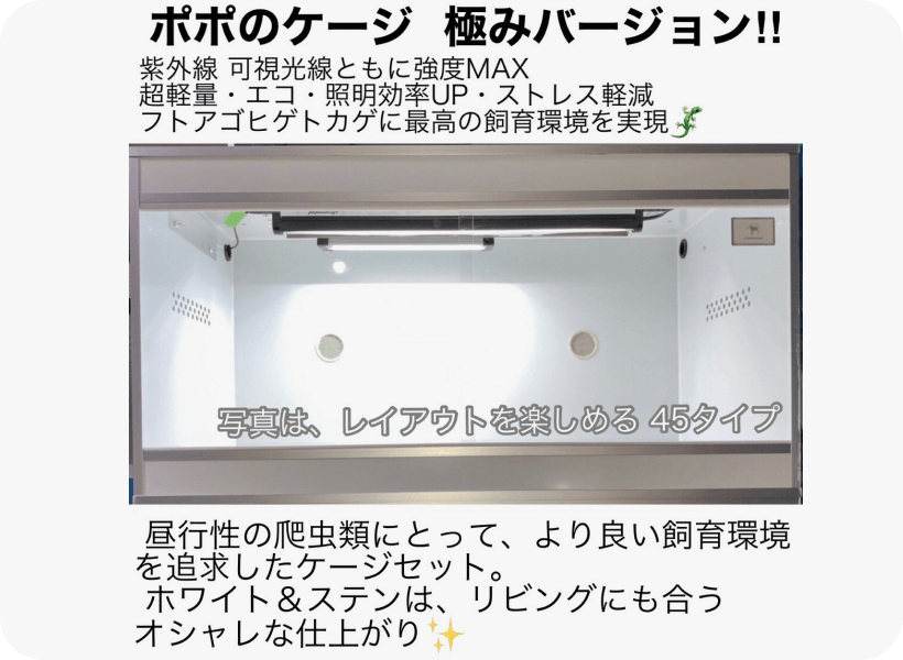 ポポのケージ爬虫類・両生類用飼育ケージ