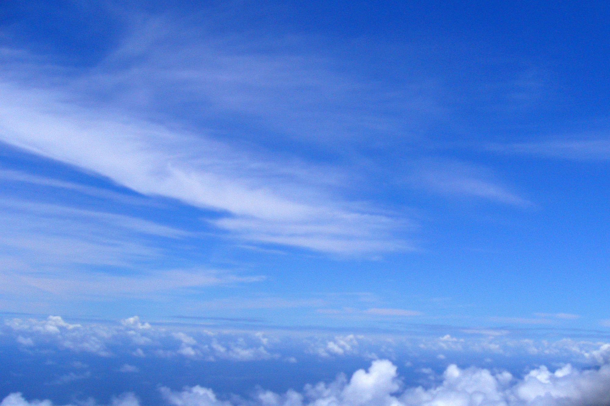 美麗! 高精細 プリント 写真 「青空へ・・・。」 美麗! 高精細
