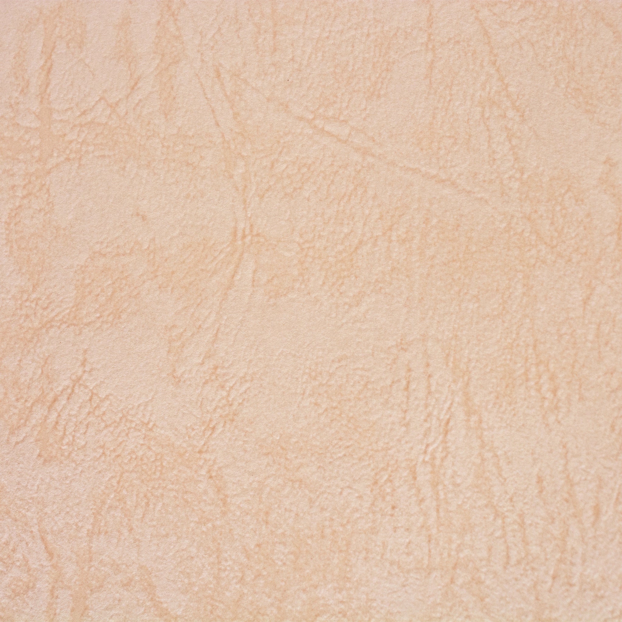 彩現 メニュー・POP用紙 レザック66 桜 A4 20枚 – products.takeopaper.com