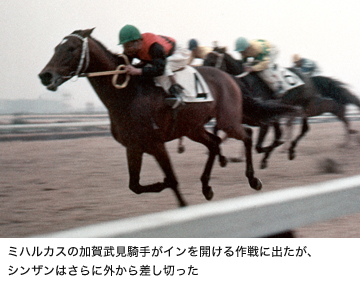 有馬記念プレビュー