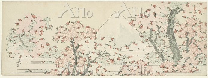 美品 葛飾北斎「桜花に富士図」木版画 アダチ版画 証明シール有 浮世絵