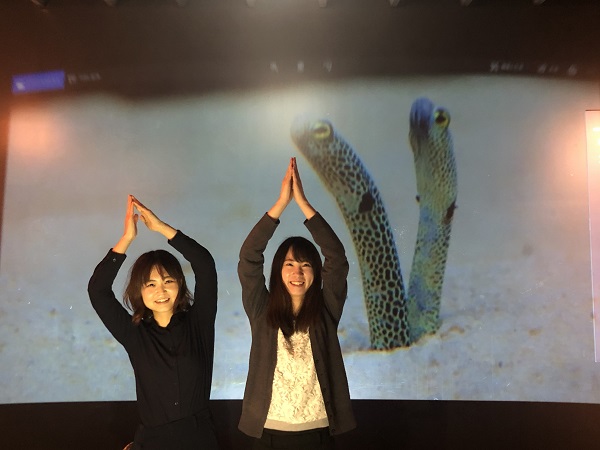 京都水族館】150インチの大画面でチンアナゴの珍しい姿を投影