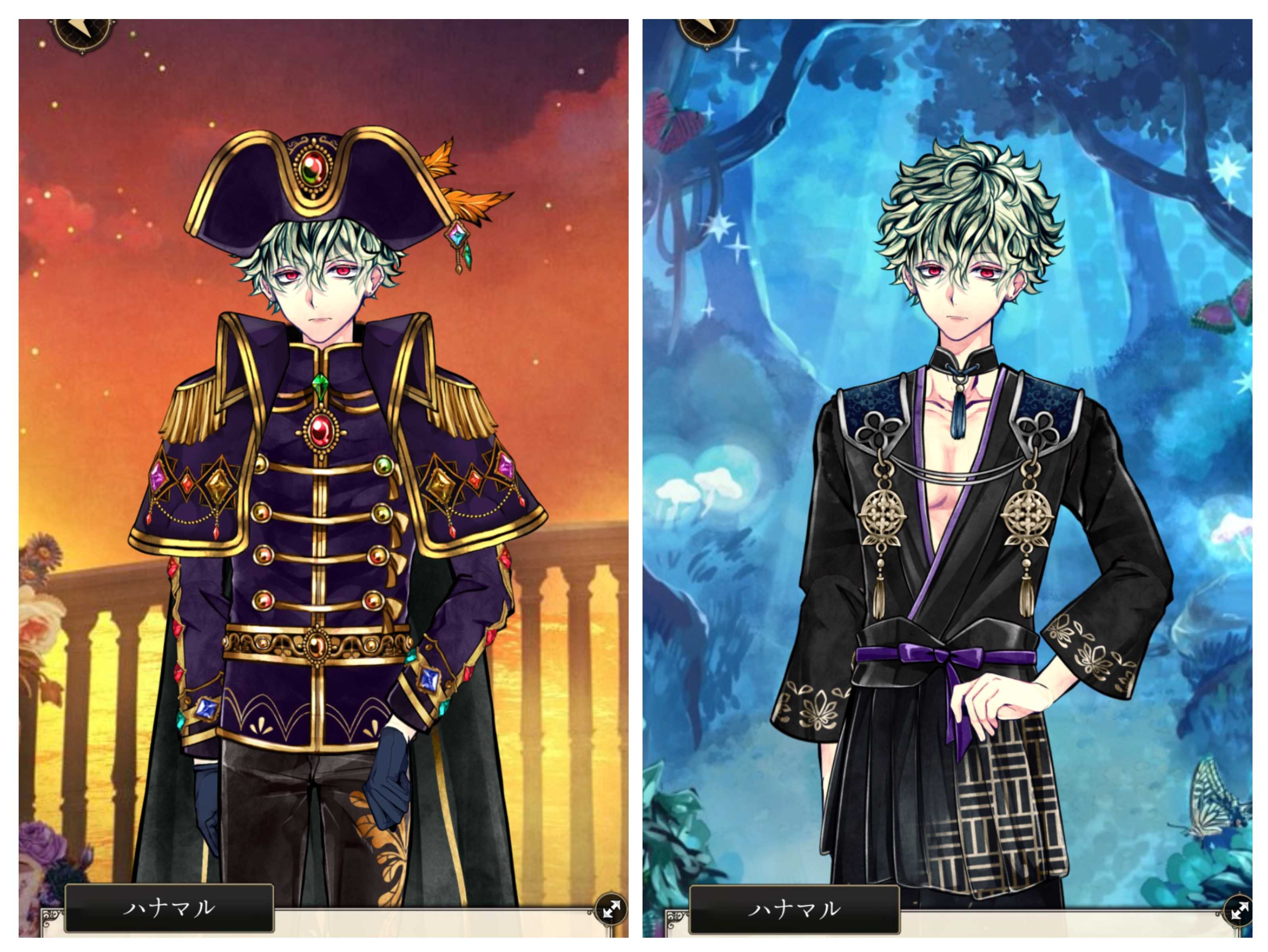 4月24日はハナマルの誕生日です！ - あくねこにハマった駆け出しシニア