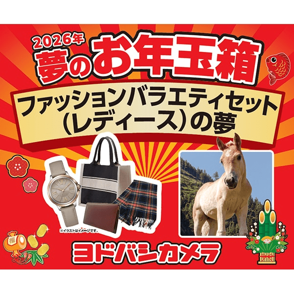 ヨドバシ福袋『腕時計（メンズ・レディース）』お年玉箱2026年
