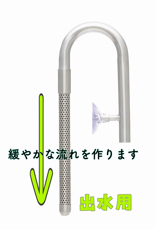 販売終了のおしらせ | 名古屋のペットショップRemix【リミックス・ペポニ】