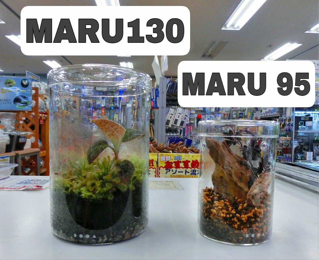 ADA DOOA ガラスポット MARU95 + MARU130 【公式通販】