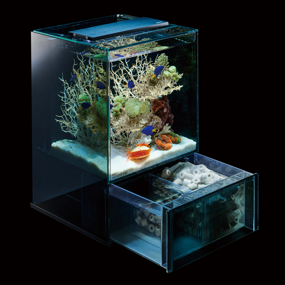 新品 ジェックス グラステリアAGS OF－450 アグス