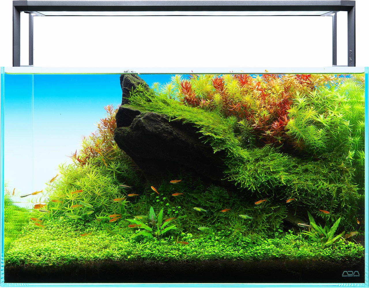 ADA アクアスカイ 601 60cm水槽用 LED照明 アクアスカイ RGB 60