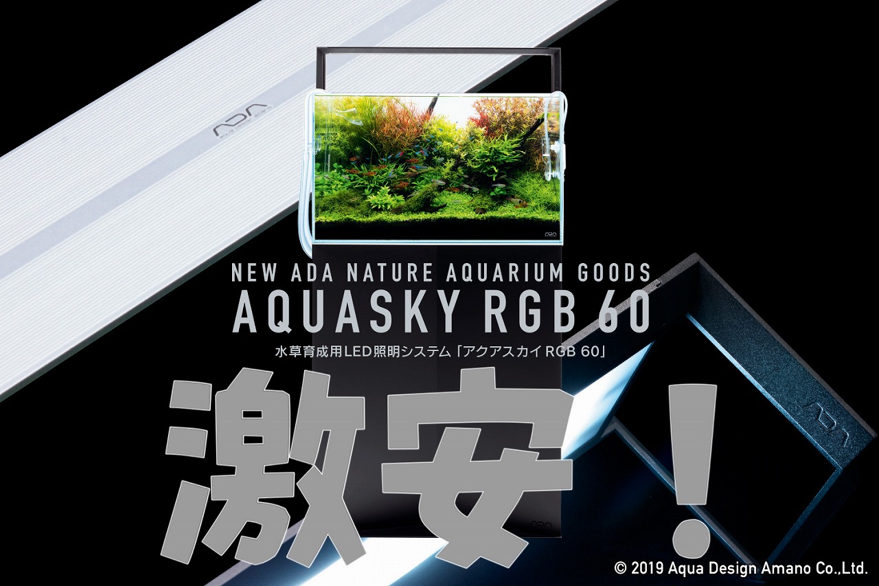 ジャンク品］ADA アクアスカイRGB ADA アクアスカイRGB ブラック ADA