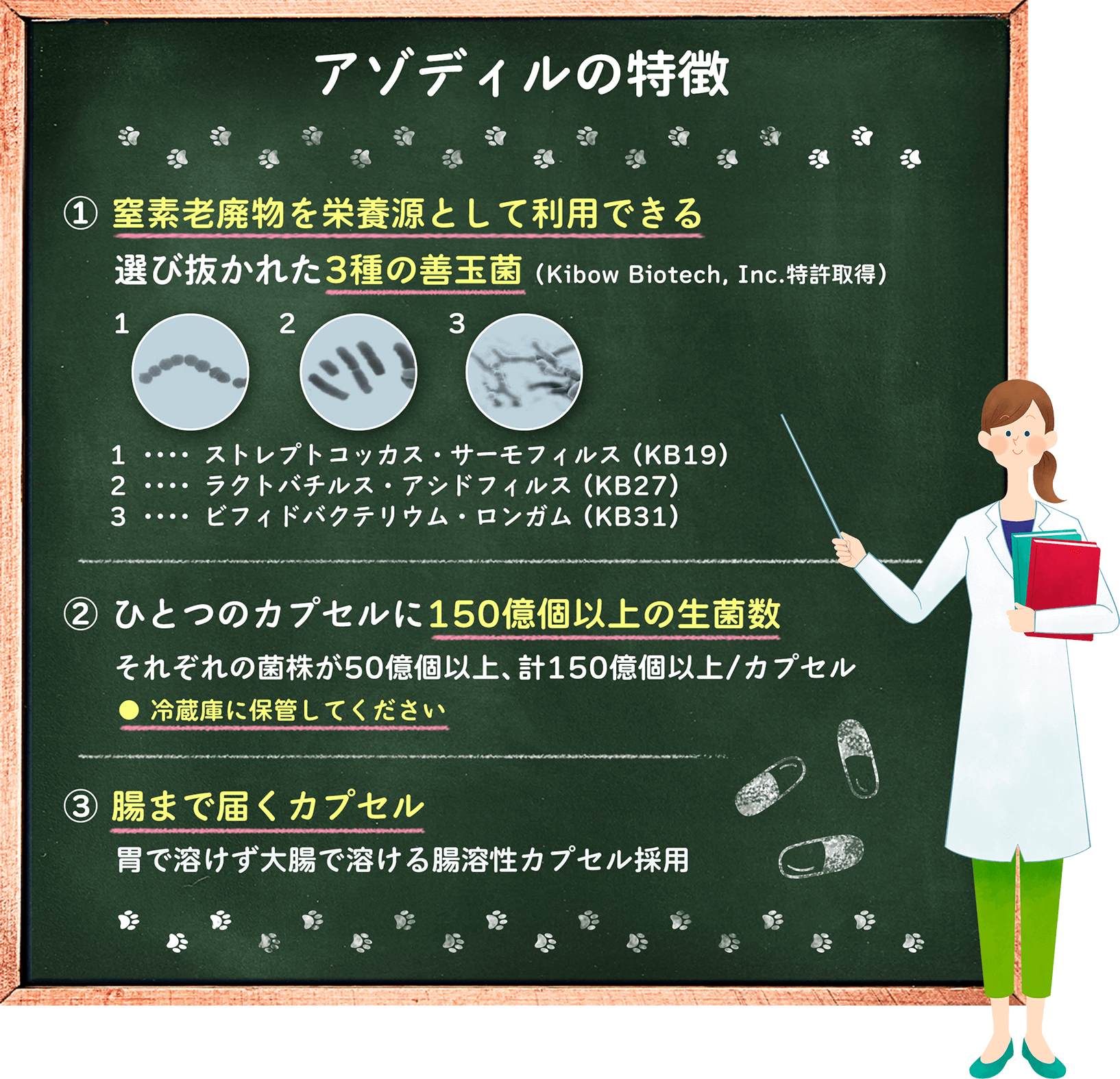 ベトキノール｜アゾディル動画｜犬猫の腎臓の健康をサポート｜2年連続