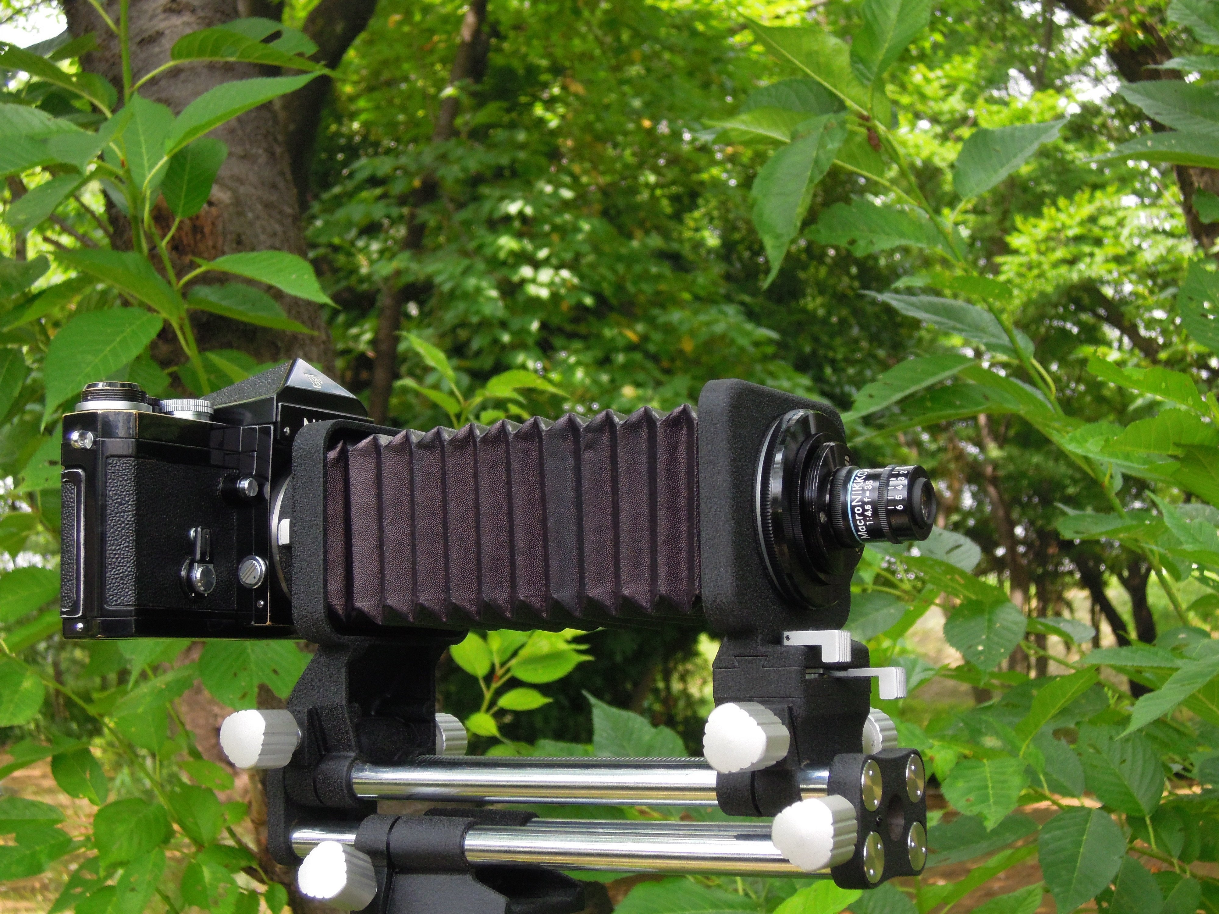 MACRO Nikkor 35mm F4.5 in Wind