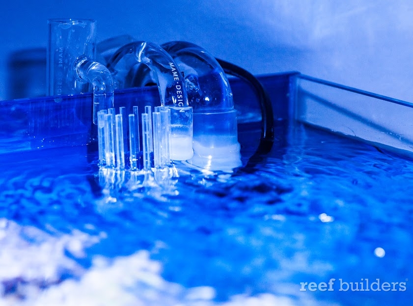 Mame Nano Overflow review | Reef Builders | The Reef and Saltwater
