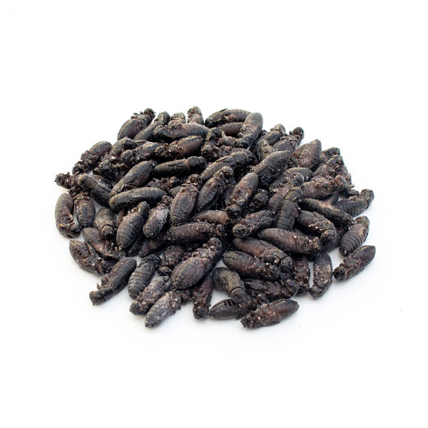 ☆クロア様専用商品☆1kg冷凍コオロギM・Lサイズフタホシコオロギ 冷凍