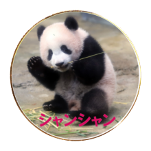 茶平工業 記念メダルコレクション 兵庫県 王子動物園