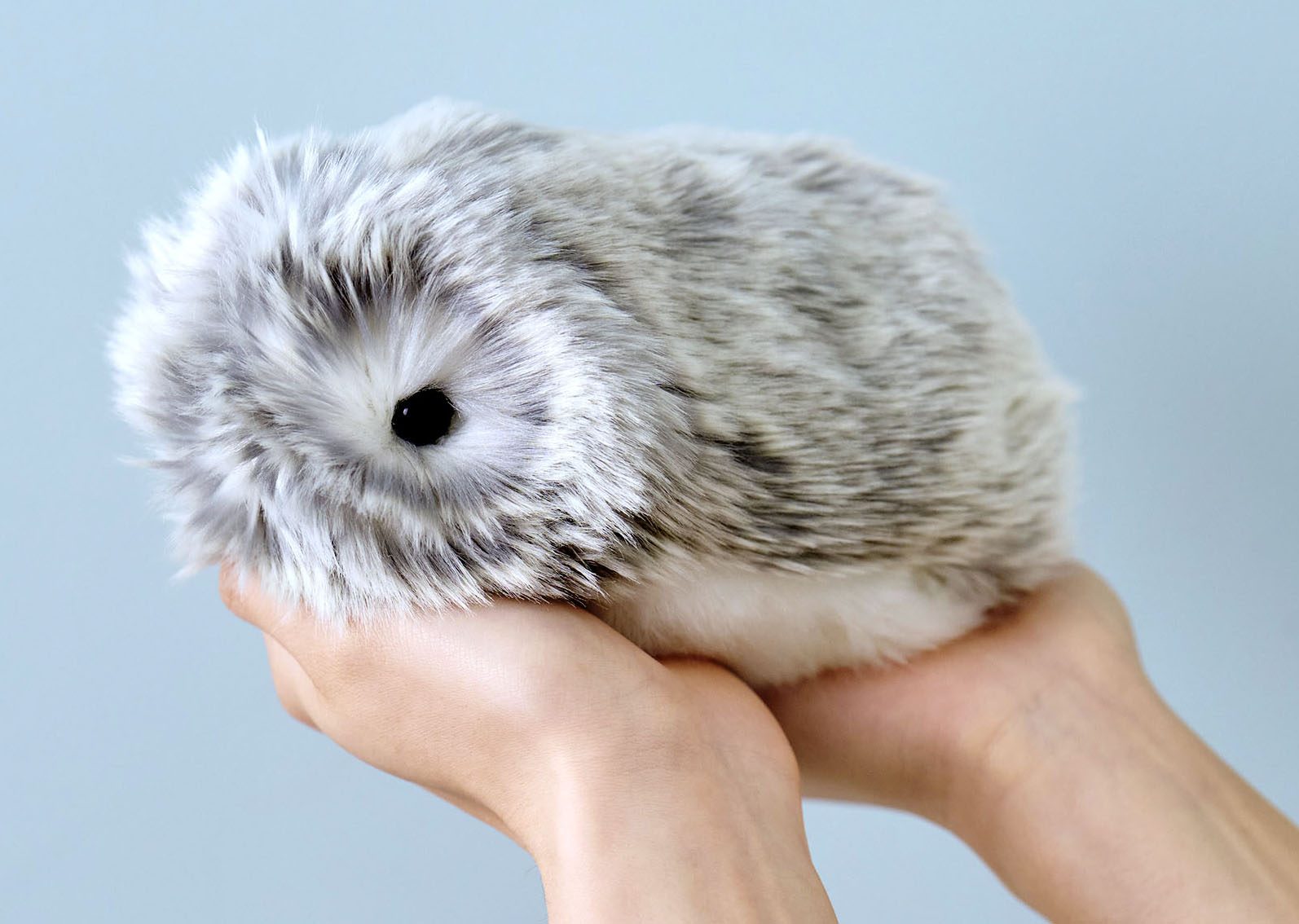 CASIO AIペット モフリン Moflin シルバー 本体＋付属品 CASIO Moflin