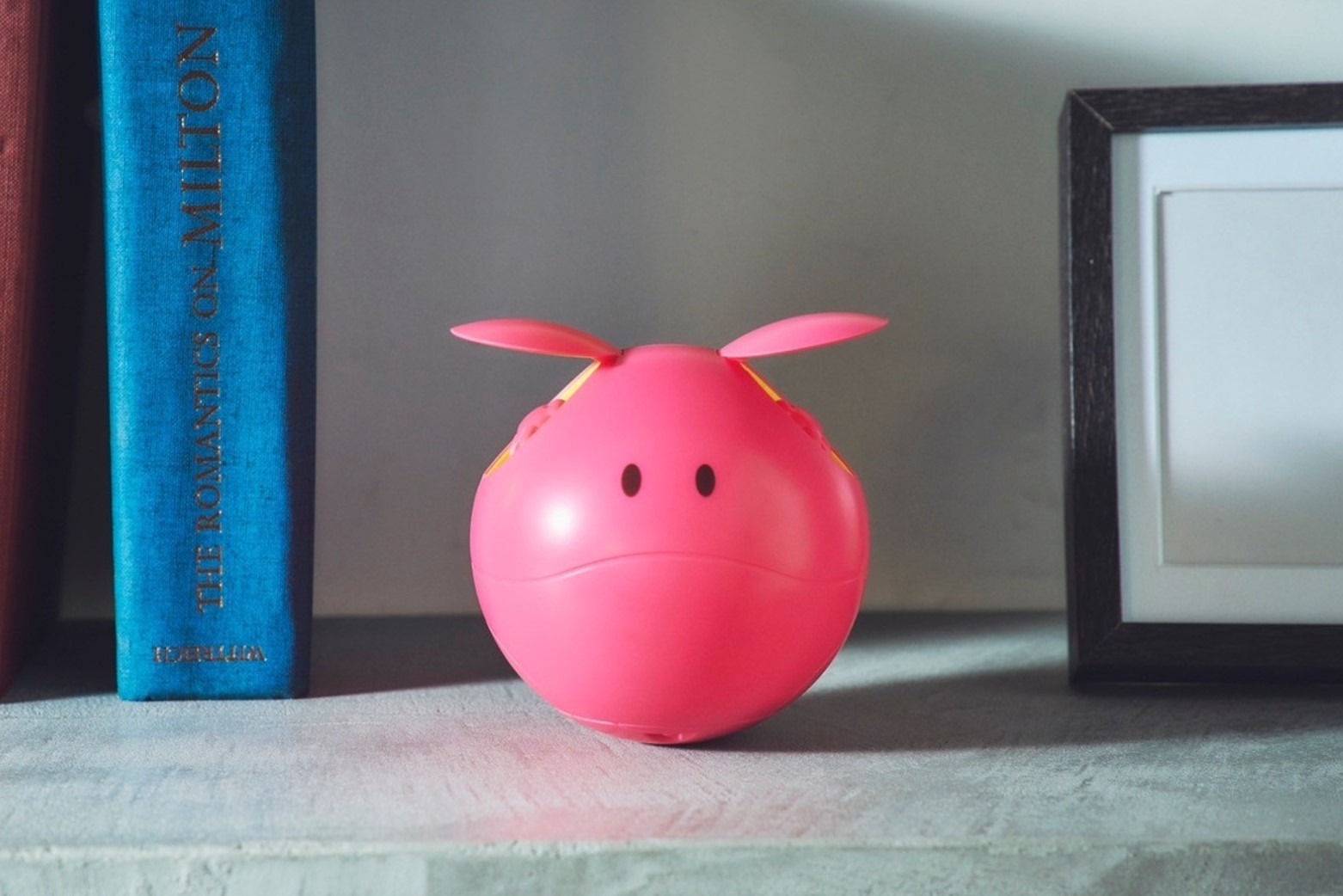 ガンダムSEEDFREEDOM】「恋愛雑誌を見てピンクちゃんを手放そうとして