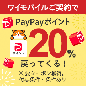 心の中の煩悩を打ち砕く法具。弘法大師「五鈷杵（ごこしょ
