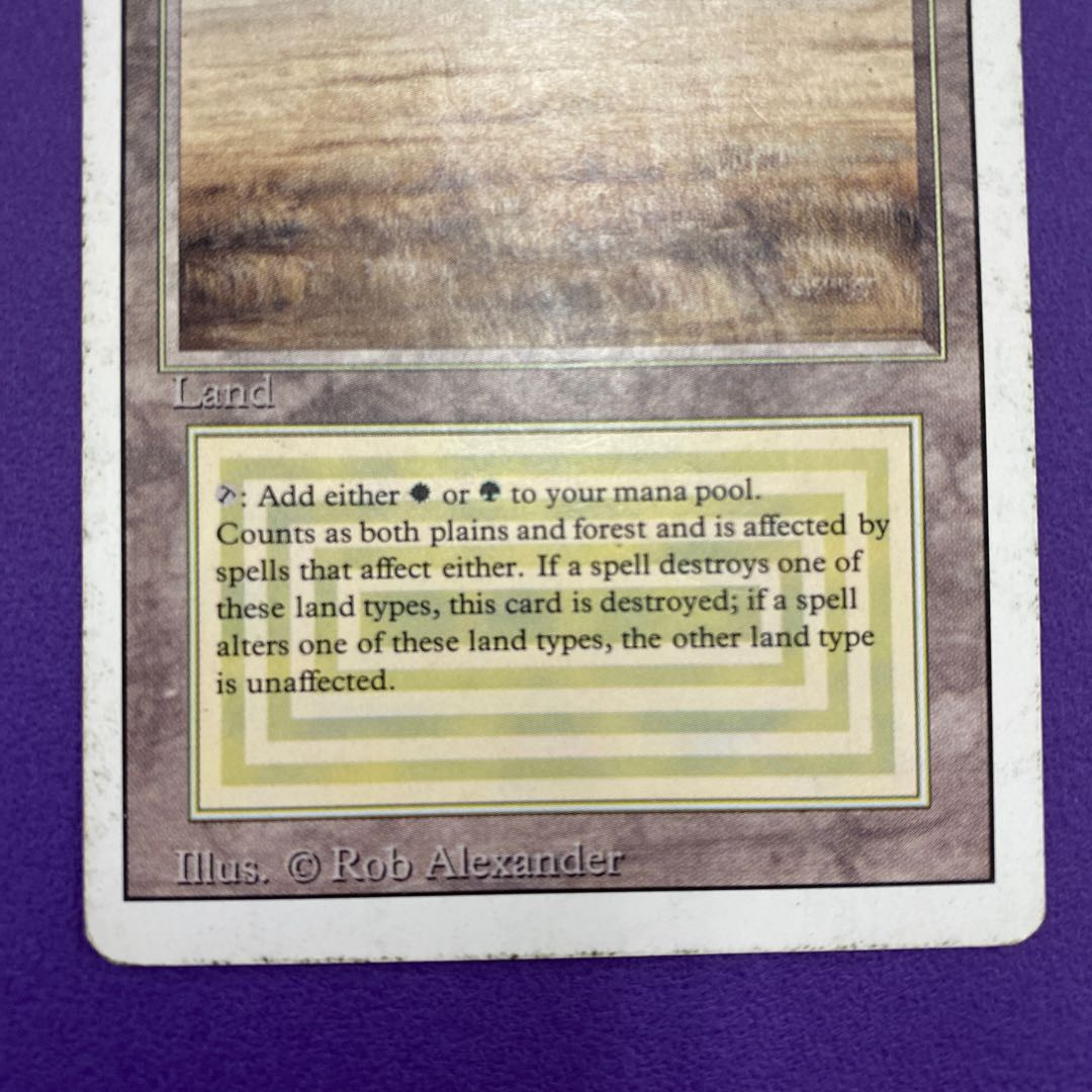 Savannah サバンナ 英語版 状態HP 1枚の通販 土日祝休@magi公式