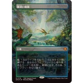 MTG】霧深い雨林 日本語FOIL2枚セット MTG】霧深い雨林 日本語FOIL2