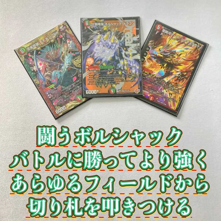 デュエマ 本格構築 【赤緑王闘ボルシャック】 デッキ＆二重スリーブ