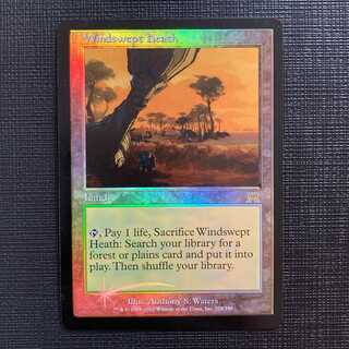 吹きさらしの荒野 EXP foil / Windswept Heath Foil】《吹きさらしの